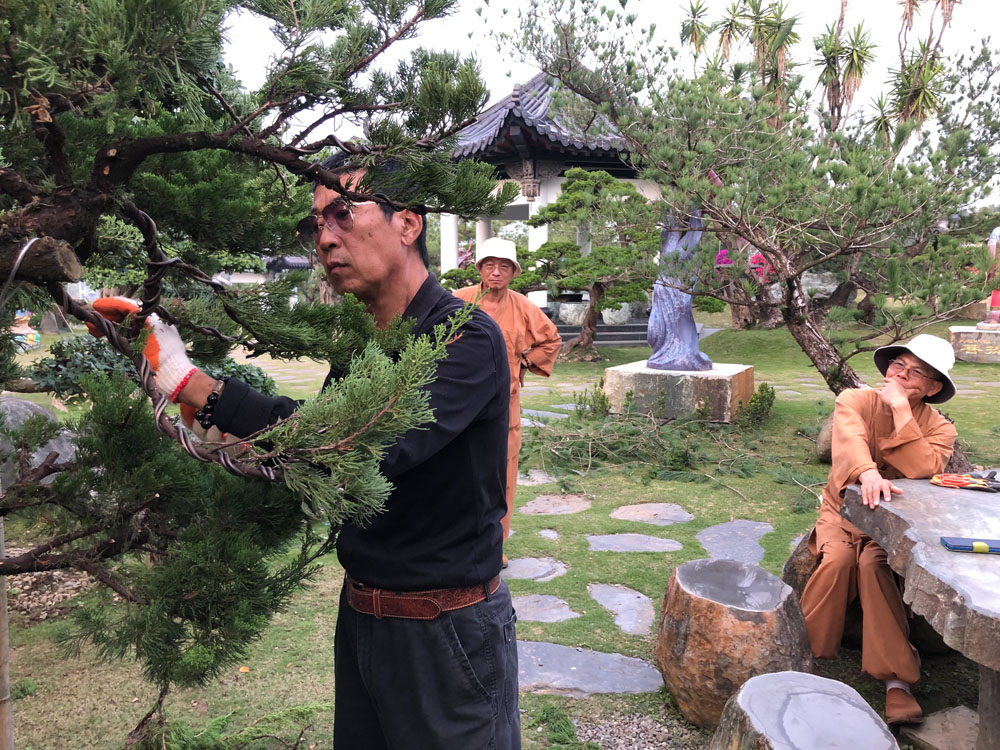 台南玄空法寺創作庭院樹