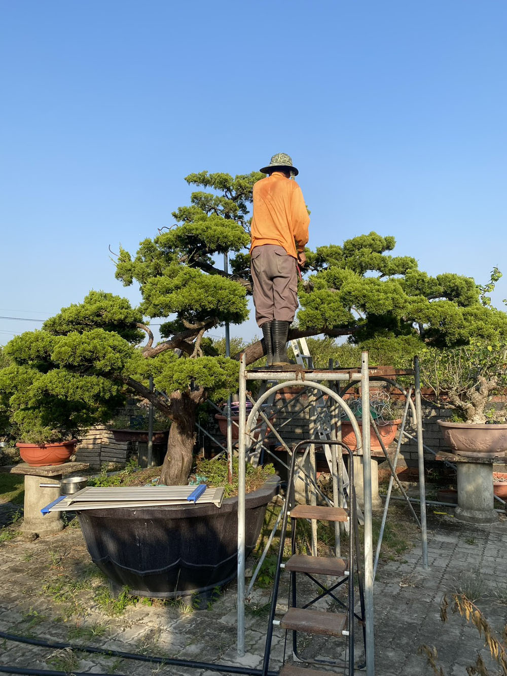 雲林大型庭院樹創作