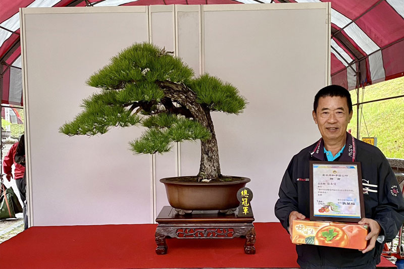 台中松樹展評審