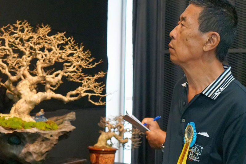 馬來西亞盆栽評審