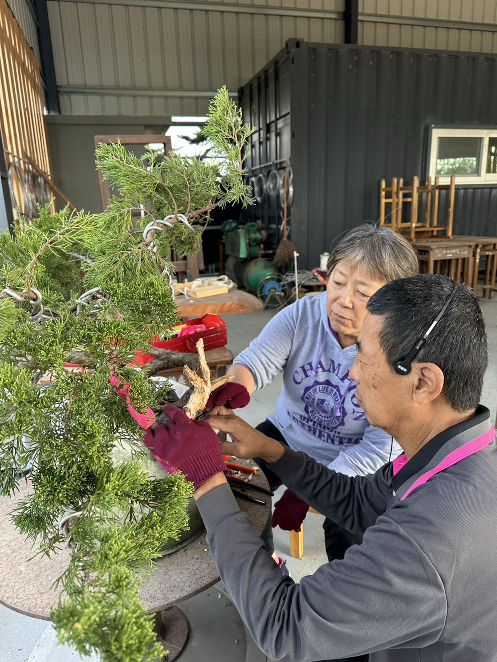 雲林真柏盆栽教室上課紀錄